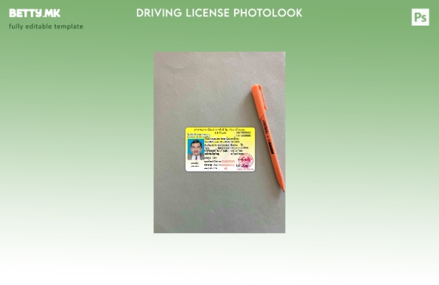 Модерен стил Лаос возачка дозвола photolook ПРЕДЕН шаблон